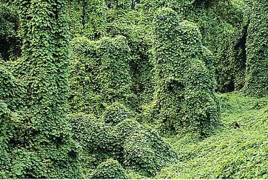 《漫威复仇者联盟》出现游戏崩溃错误 官方让玩家删档以解决问题